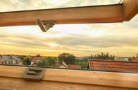 rated Noahs Green roof window companies